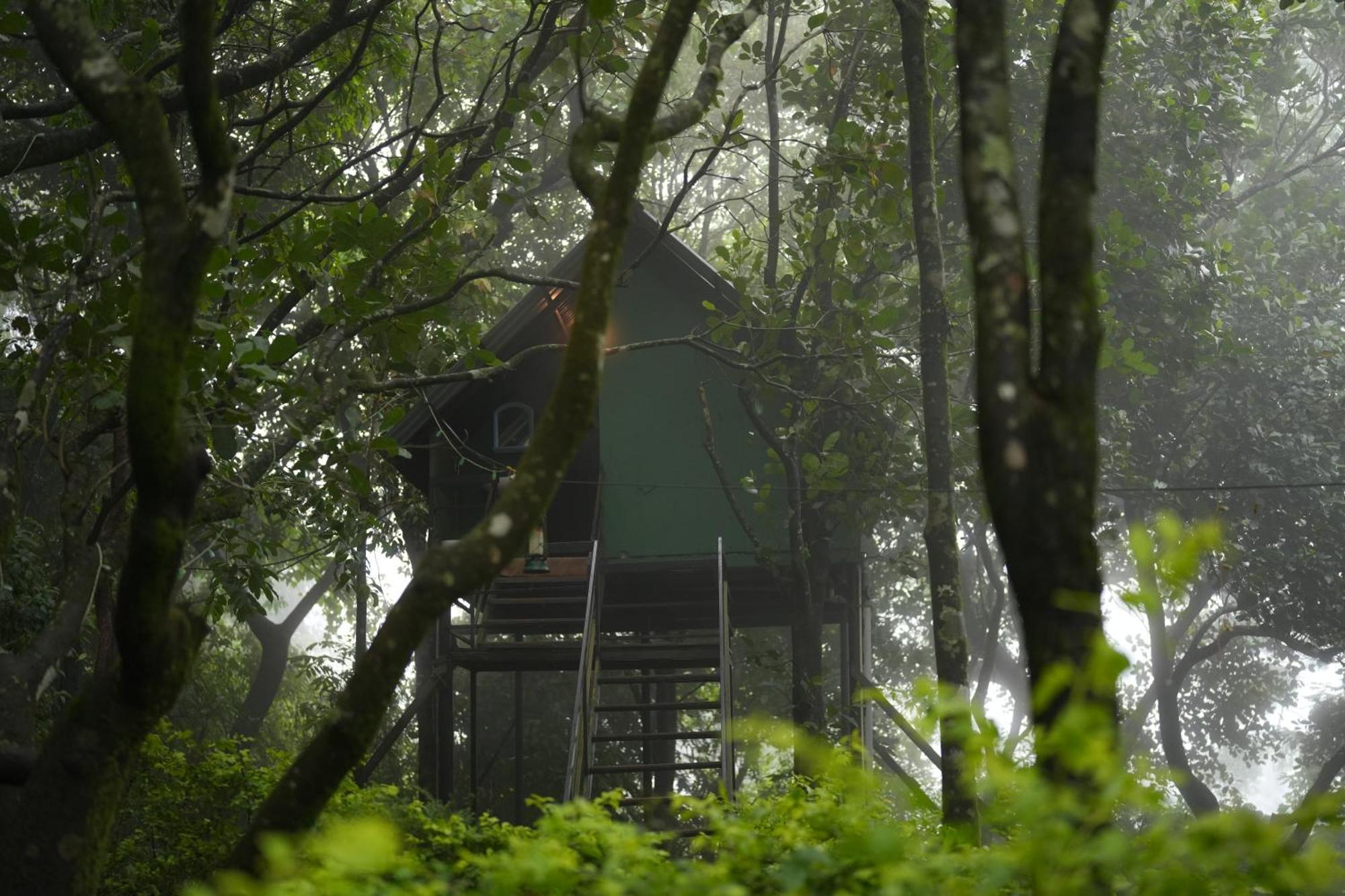 Regina Silva Camping & Nature Resort Paithalmala エクステリア 写真