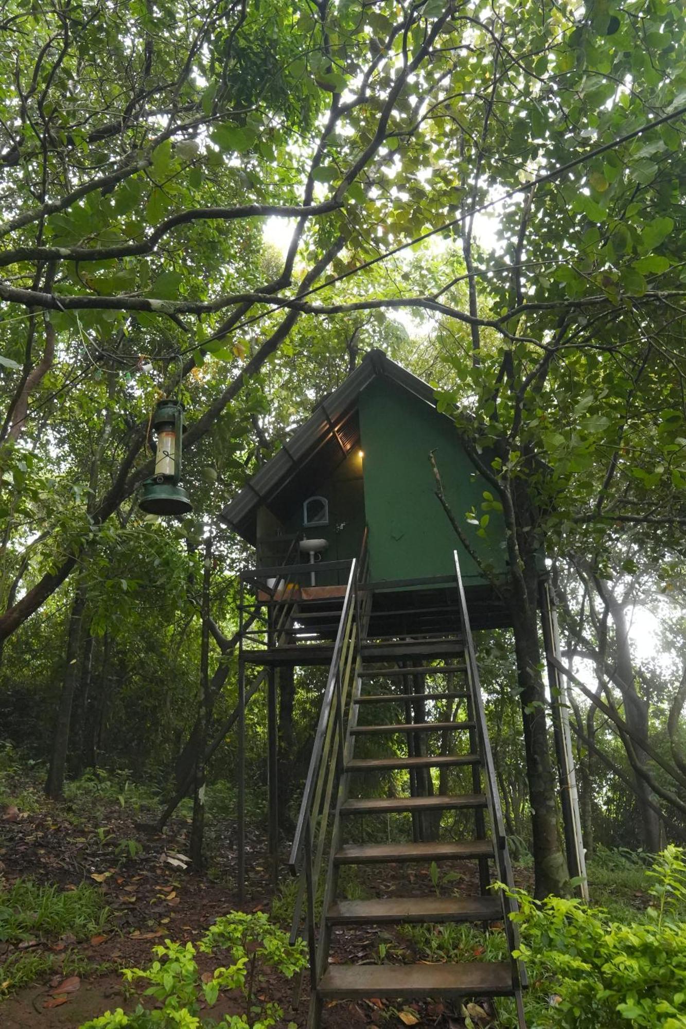 Regina Silva Camping & Nature Resort Paithalmala エクステリア 写真