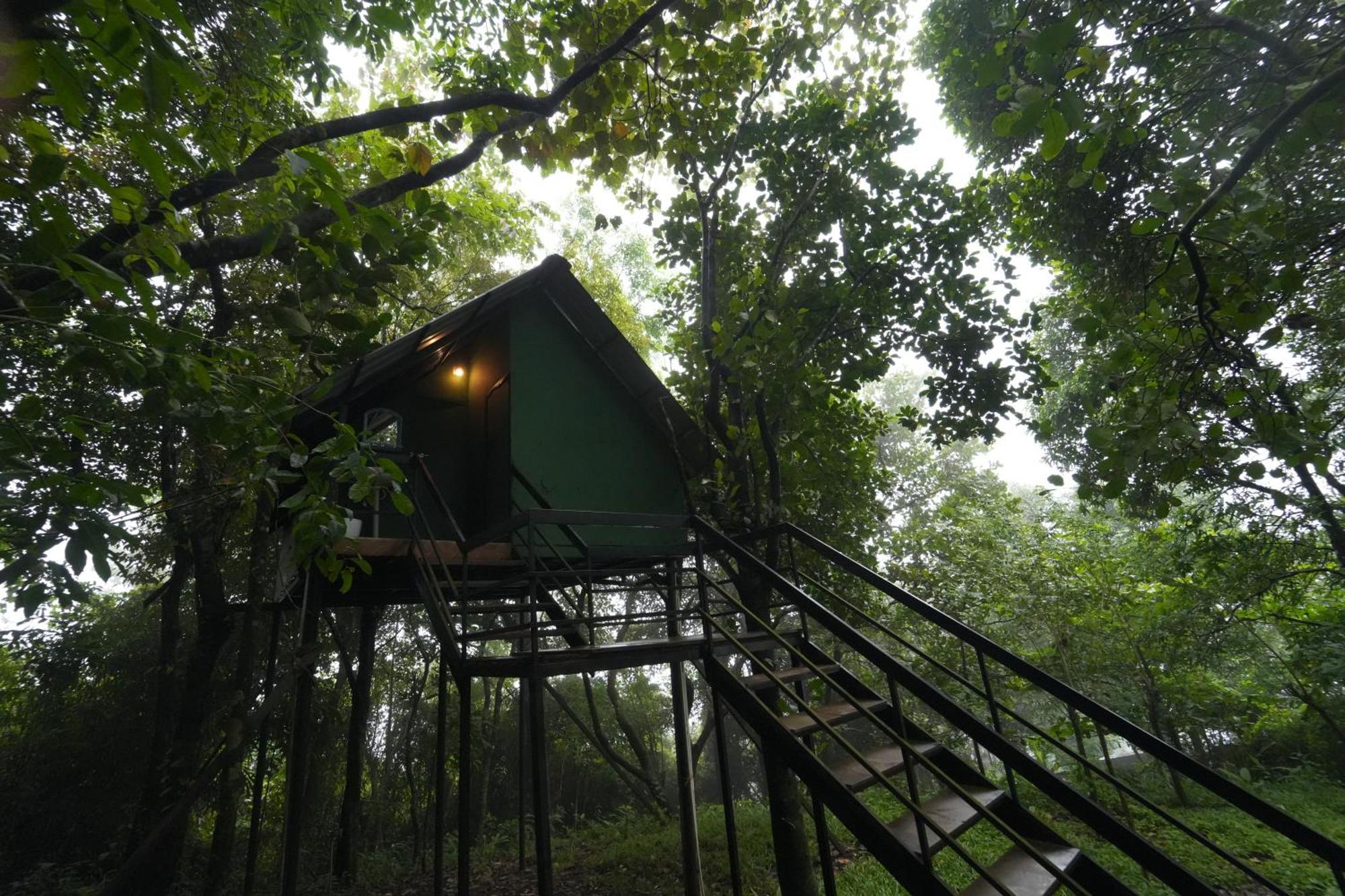Regina Silva Camping & Nature Resort Paithalmala エクステリア 写真